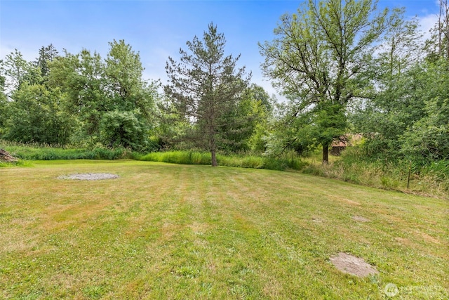 174 Skinner Rd, Chehalis, WA 98532 - view of grassy yard