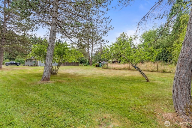174 Skinner Rd, Chehalis, WA 98532 - view of green lawn