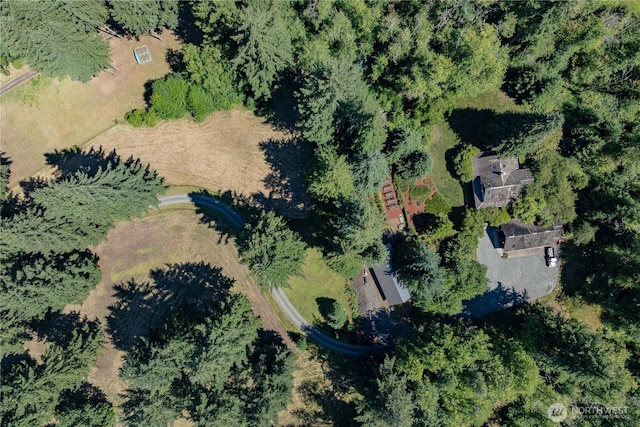 20809 NE 389th St, Amboy, WA 98601 - photo 14