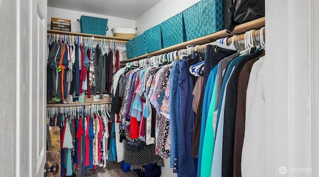 16223 Birkland St SE, Yelm, WA 98597 - spacious closet with wood finished floors
