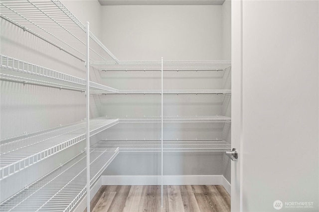 20625 153rd St E, Bonney Lake, WA 98391 - view of pantry