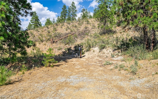 1478 Lodge Pole Rd, Chelan, WA 98816 - photo 20