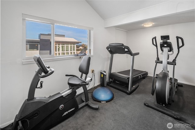 2501 Canterbury Ln E Unit 221, Seattle, WA 98112 - exercise area featuring lofted ceiling and baseboards