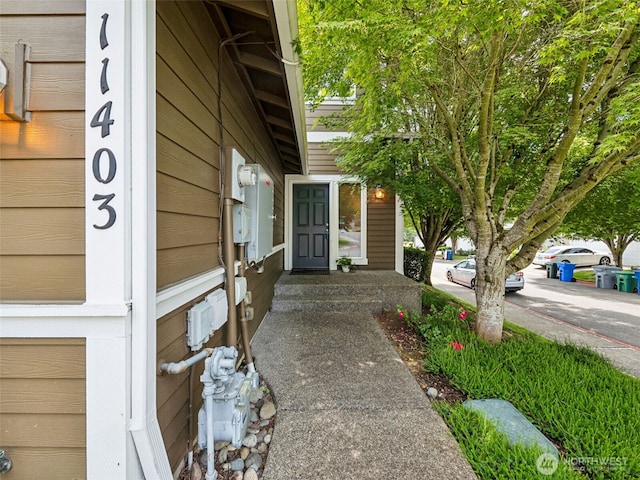 11403 SE 171st St, Renton, WA 98055 - doorway to property