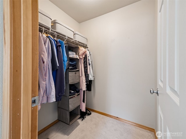 11403 SE 171st St, Renton, WA 98055 - walk in closet with carpet