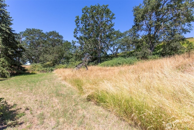822 E Oak St, Sequim, WA 98382 - view of undeveloped land