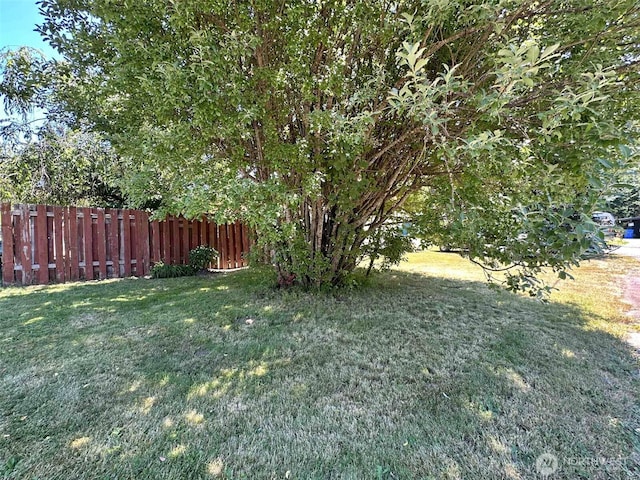 798 Division Ave, Morton, WA 98356 - view of yard