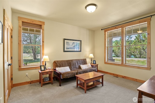 113 Shortline Dr, Winlock, WA 98596 - photo 20