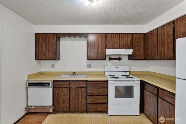 619 E Calkins Dr, Spokane, WA 99208 - photo 14