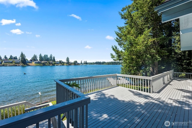 2516 214th Ave E, Lake Tapps, WA 98391 - photo 20