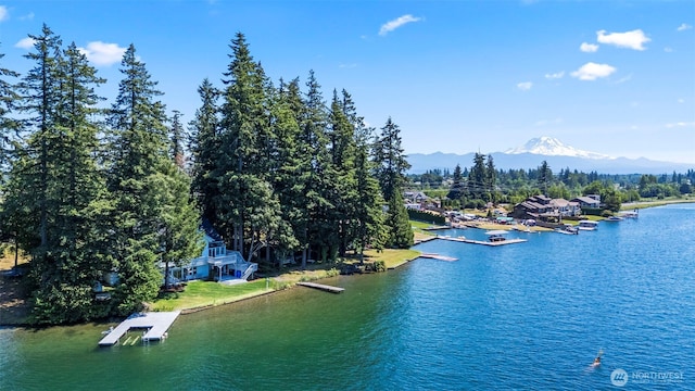 2516 214th Ave E, Lake Tapps, WA 98391 - photo 25