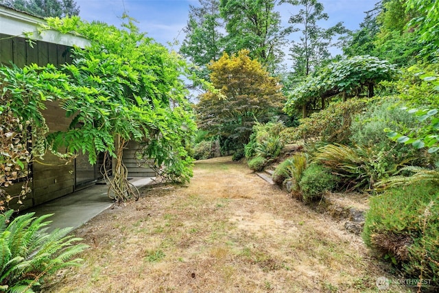 10923 SE 10th Pl, Bellevue, WA 98004 - photo 10