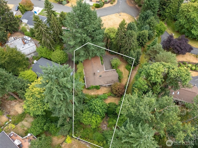 10923 SE 10th Pl, Bellevue, WA 98004 - photo 33
