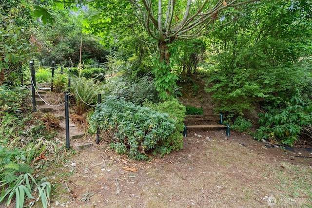 10923 SE 10th Pl, Bellevue, WA 98004 - photo 35