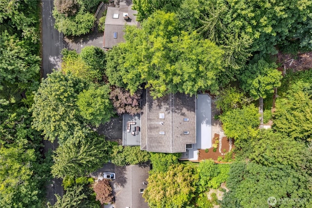 17519 33rd Ave NE, Lake Forest Park, WA 98155 - view from above of property