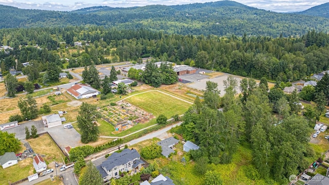 5735 NE 8th St, Renton, WA 98059 - aerial view of property's location with a mountainous background and nearby suburban area