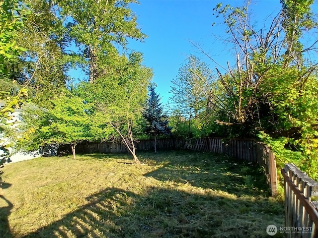 5735 NE 8th St, Renton, WA 98059 - view of fenced backyard