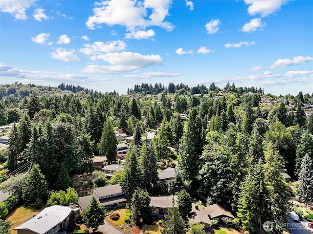14905 SE 46th Pl, Bellevue, WA 98006 - photo 6