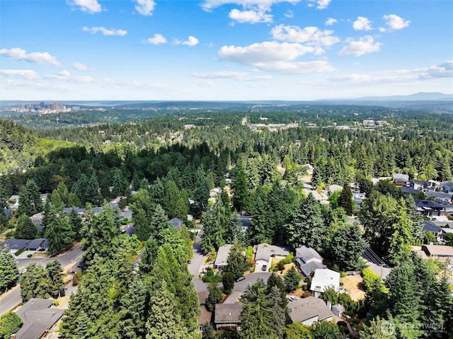 14905 SE 46th Pl, Bellevue, WA 98006 - photo 5