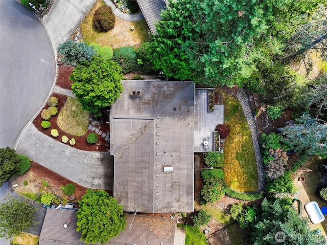 14905 SE 46th Pl, Bellevue, WA 98006 - photo 4