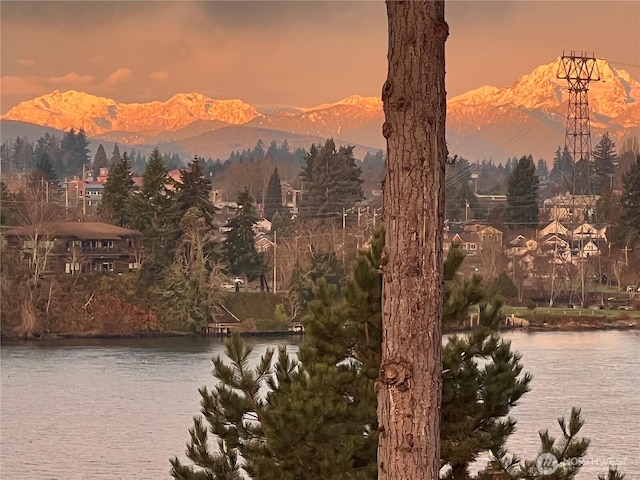 1149 Wheaton Way, Bremerton, WA 98310 - photo 11