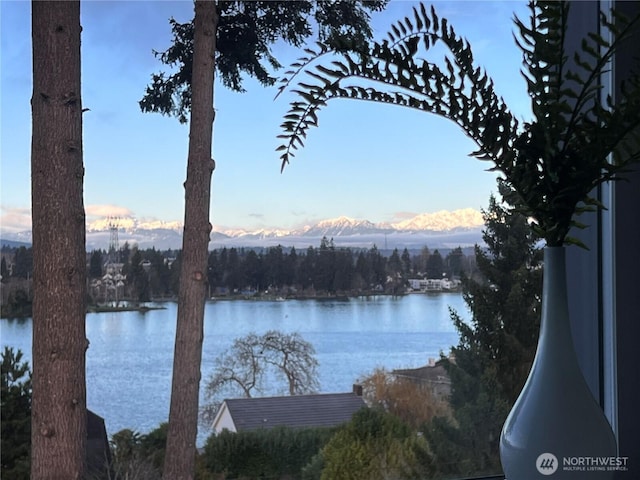 1149 Wheaton Way, Bremerton, WA 98310 - photo 14