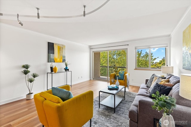 732 11th Ave E Unit 404, Seattle, WA 98102 - living room featuring crown molding and wood finished floors