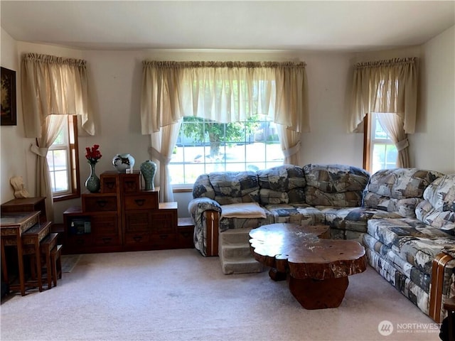 9238 Classic Dr NE, Lacey, WA 98516 - living room featuring healthy amount of natural light and carpet flooring