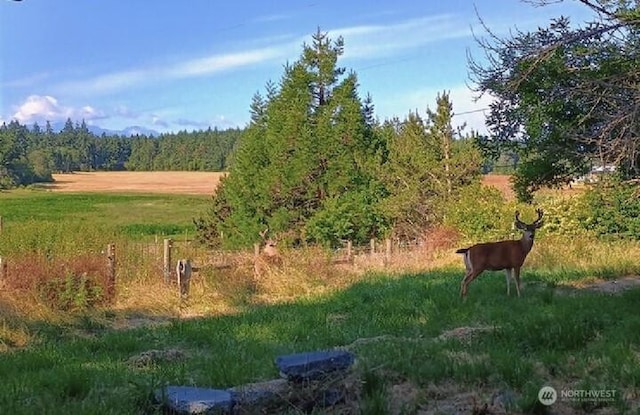 3295 Hastings Ave, Port Townsend, WA 98368 - view of yard with a view of trees and a view of countryside