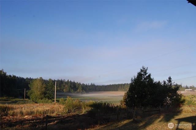 3295 Hastings Ave, Port Townsend, WA 98368 - view of yard with a wooded view