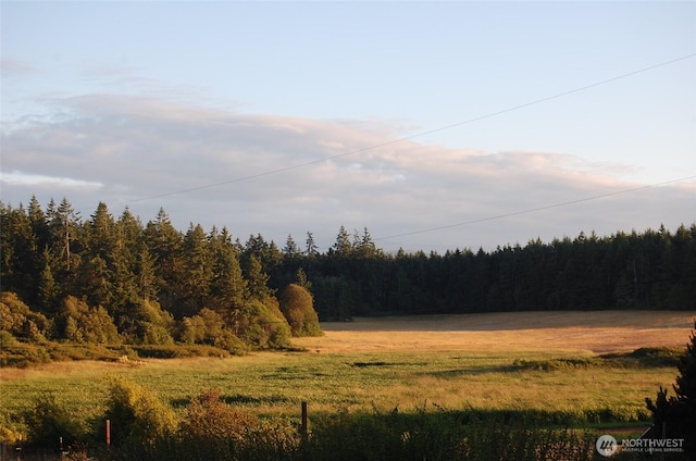 3295 Hastings Ave, Port Townsend, WA 98368 - view of tree filled area