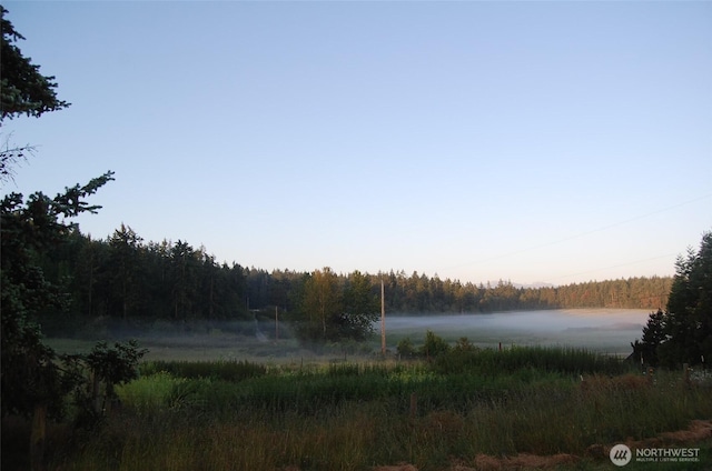 3295 Hastings Ave, Port Townsend, WA 98368 - water view featuring a heavily wooded area