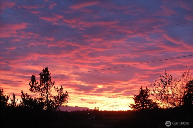 3295 Hastings Ave, Port Townsend, WA 98368 - view of nature