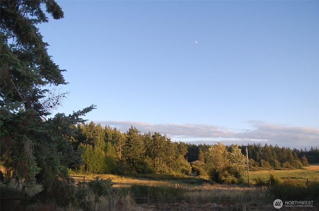 3295 Hastings Ave, Port Townsend, WA 98368 - view of woods