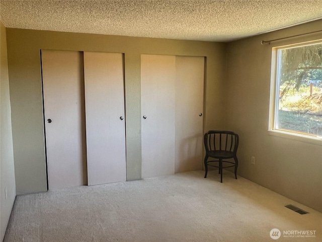 3295 Hastings Ave, Port Townsend, WA 98368 - unfurnished bedroom with carpet, two closets, and a textured ceiling