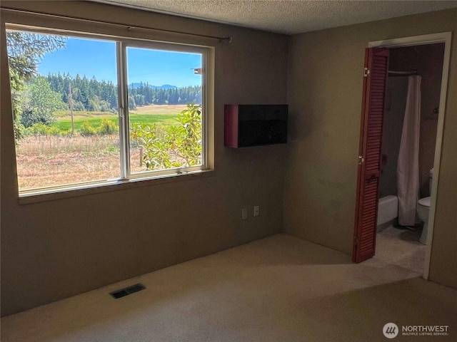 3295 Hastings Ave, Port Townsend, WA 98368 - unfurnished bedroom with multiple windows, carpet floors, and a textured ceiling