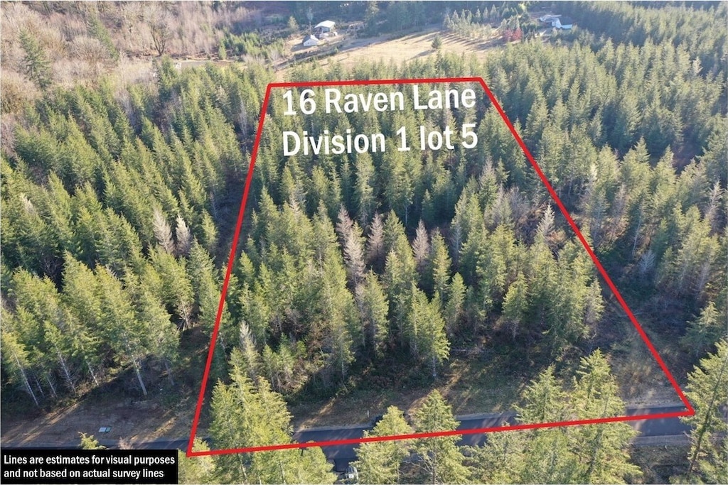 16 Raven Ln, Elma, WA 98541 - aerial view of property and surrounding area with property boundaries highlighted and a forest