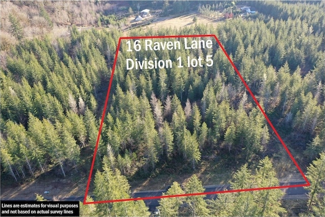 16 Raven Ln, Elma, WA 98541 - aerial view of property and surrounding area with property boundaries highlighted and a forest