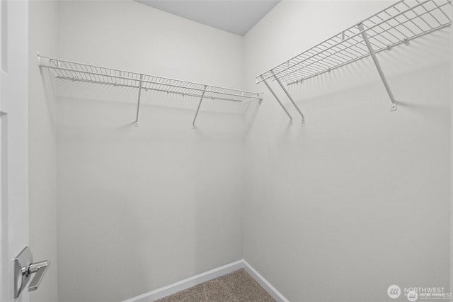 7629 NE 122nd Ct Unit 7, Kirkland, WA 98034 - walk in closet featuring carpet