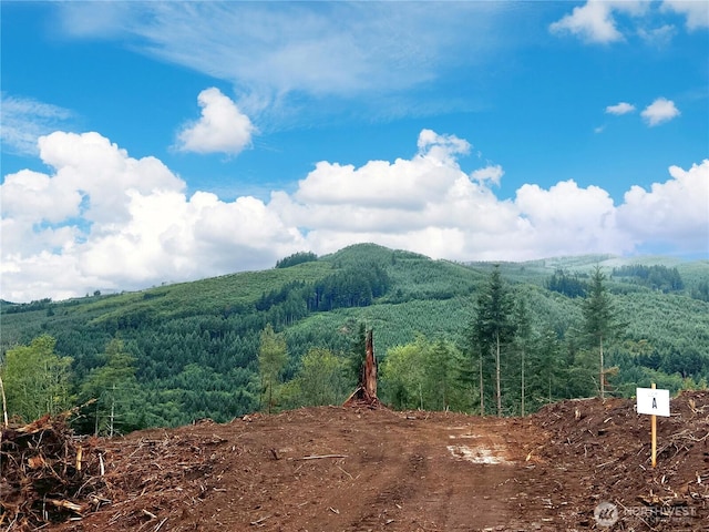 3727 Little Kalama River Rd Unit A, Woodland, WA 98584 - photo 1