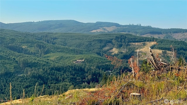 3727 Little Kalama River Rd Unit A, Woodland, WA 98584 - photo 3
