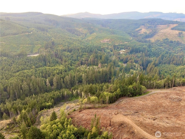 3727 Little Kalama River Rd Unit A, Woodland, WA 98584 - photo 8