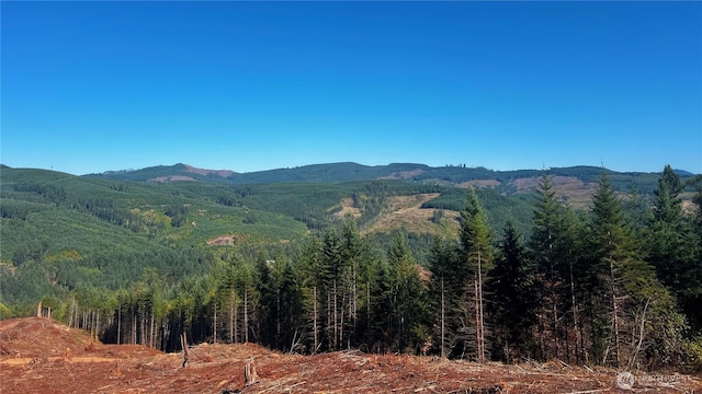 3727 Little Kalama River Rd Unit A, Woodland, WA 98584 - photo 9