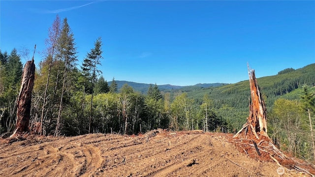 3727 Little Kalama River Rd Unit A, Woodland, WA 98584 - photo 10