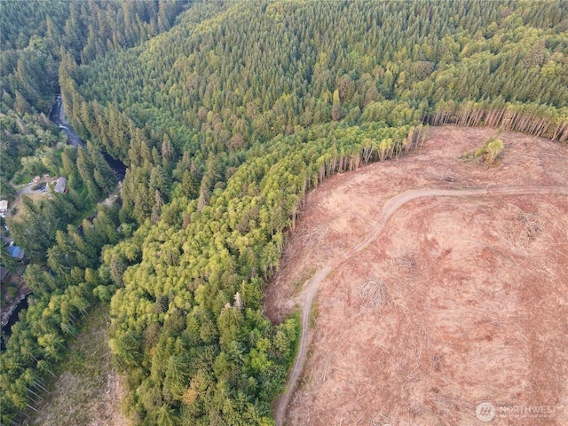 3727 Little Kalama River Rd Unit A, Woodland, WA 98584 - photo 11