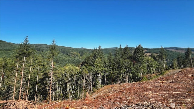 3727 Little Kalama River Rd Unit A, Woodland, WA 98584 - photo 14