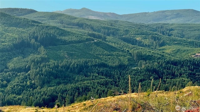 3727 Little Kalama River Rd Unit A, Woodland, WA 98584 - photo 15