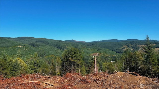 3727 Little Kalama River Rd Unit A, Woodland, WA 98584 - photo 21