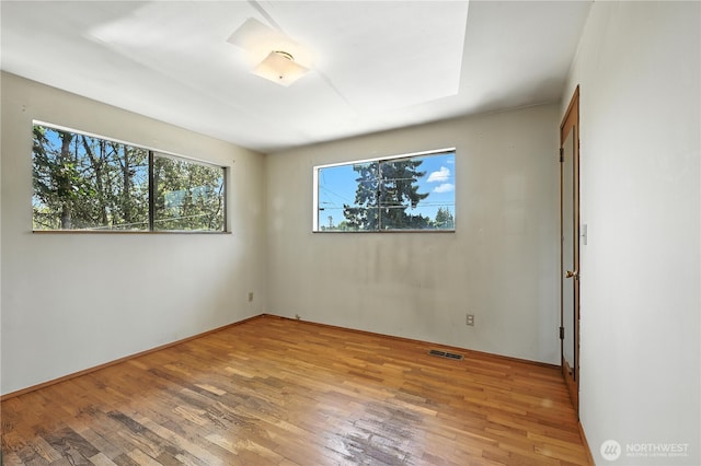 2927 203rd St SW, Lynnwood, WA 98036 - photo 13