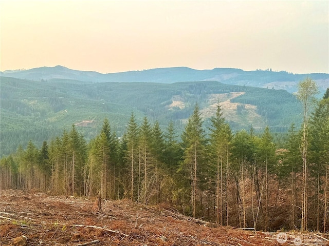3727 Little Kalama River Rd Unit H, Woodland, WA 98584 - photo 20